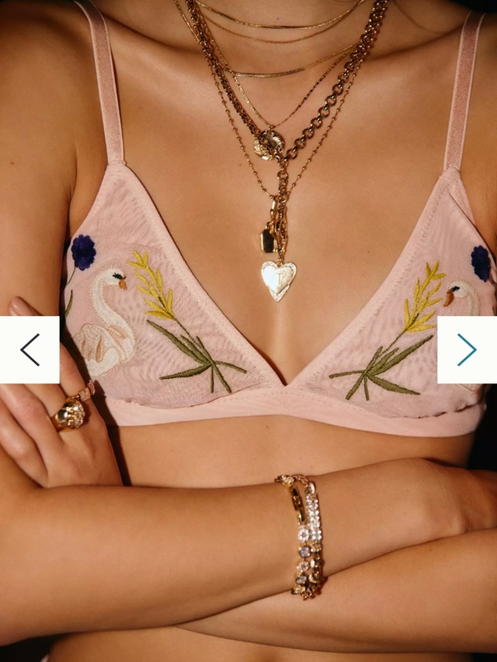 LyreBird Embroidered Mesh Triangle Bralette Pink Flora  XS